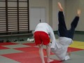 walka sportowa judo