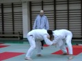 walka sportowa judo