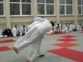 tai otoshi