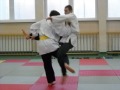 o chi gari