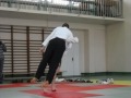 ippon seoi nage