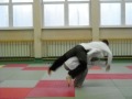 morote seoi nage