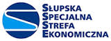 SSSE logo